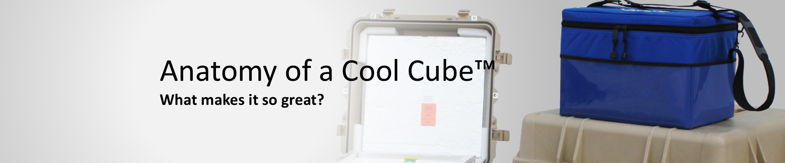 anatomy-de Anatomy of a Cool Cube